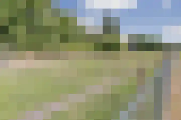 Keup 9 Egchel thumbnail 39