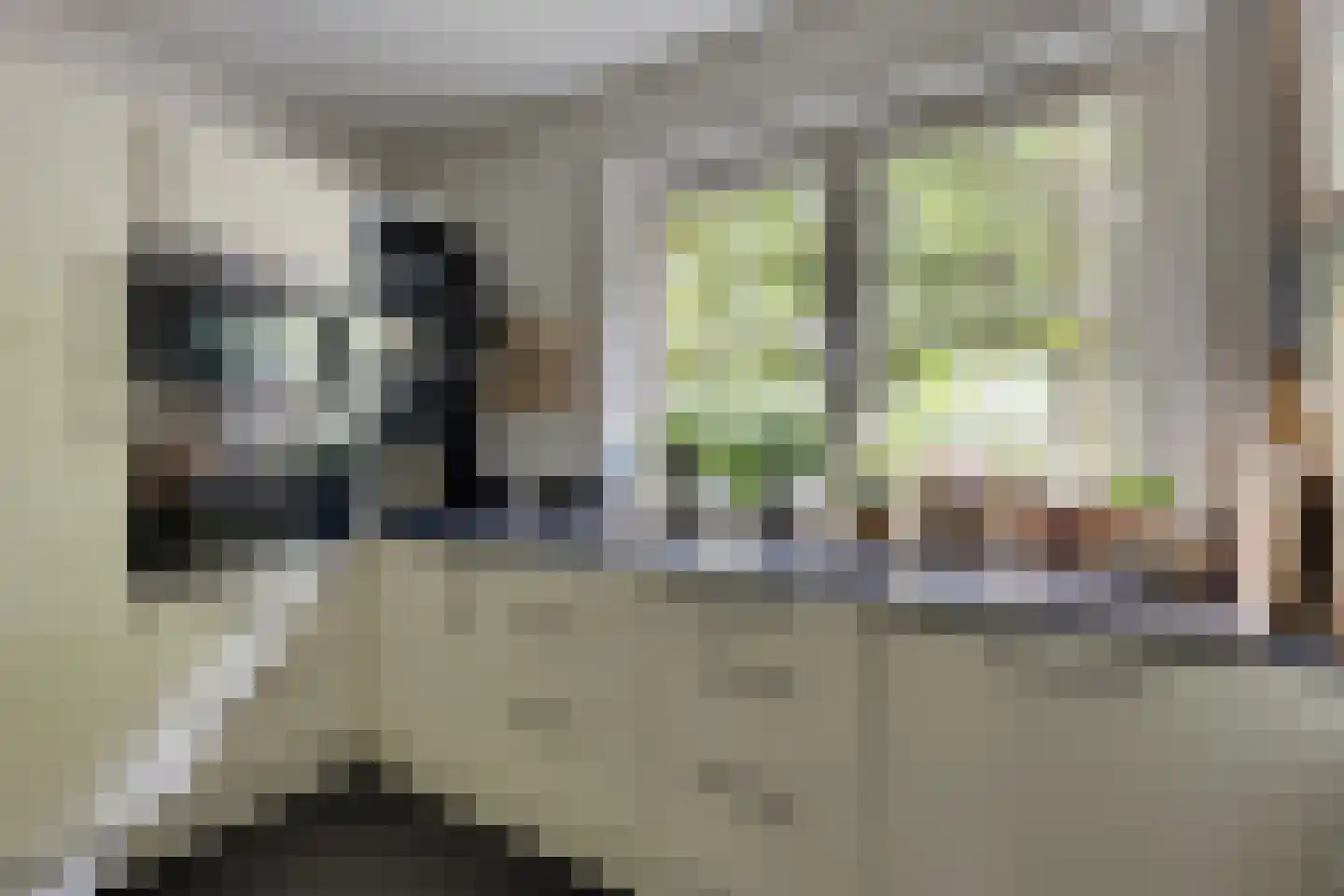 Keupenstraat 14 Dinxperlo thumbnail 13