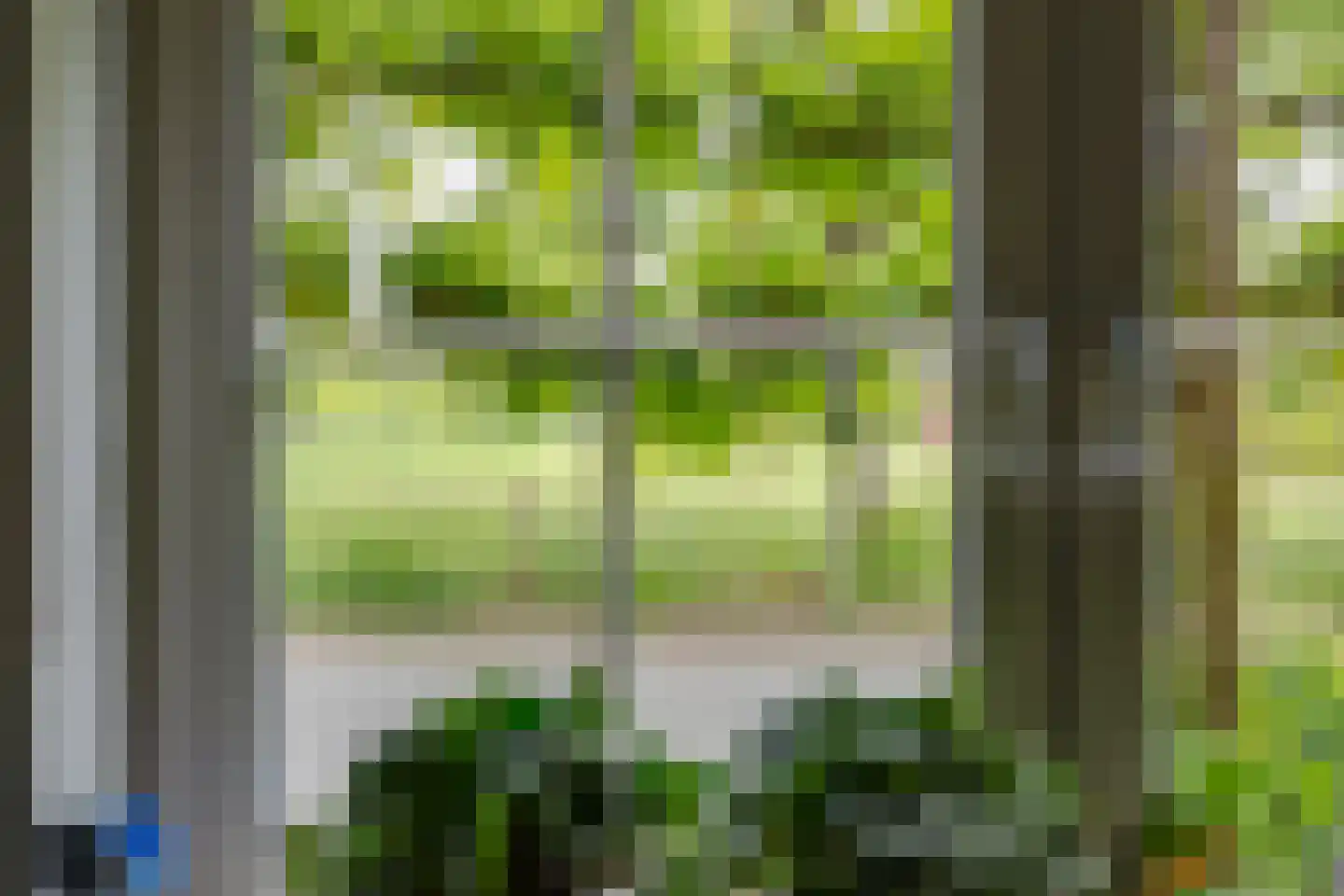 Keupenstraat 14 Dinxperlo thumbnail 14