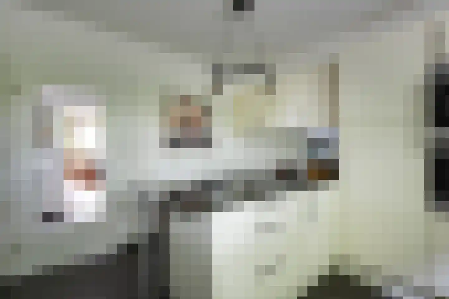 Keupenstraat 14 Dinxperlo thumbnail 15