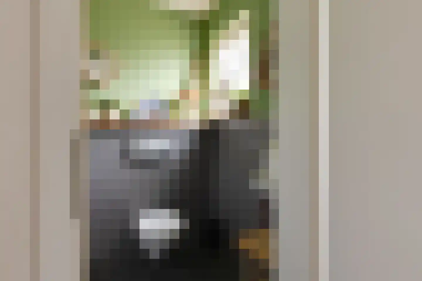 Keupenstraat 14 Dinxperlo thumbnail 18