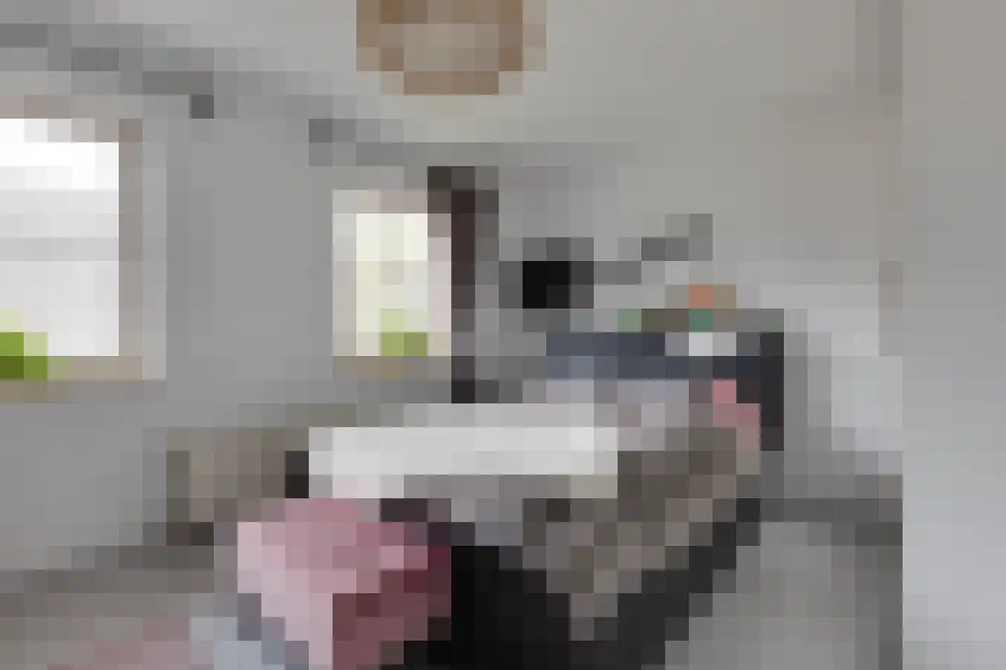 Keupenstraat 14 Dinxperlo thumbnail 21
