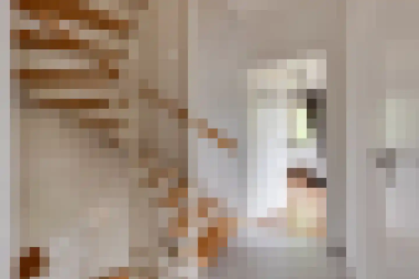 Keupenstraat 14 Dinxperlo thumbnail 23