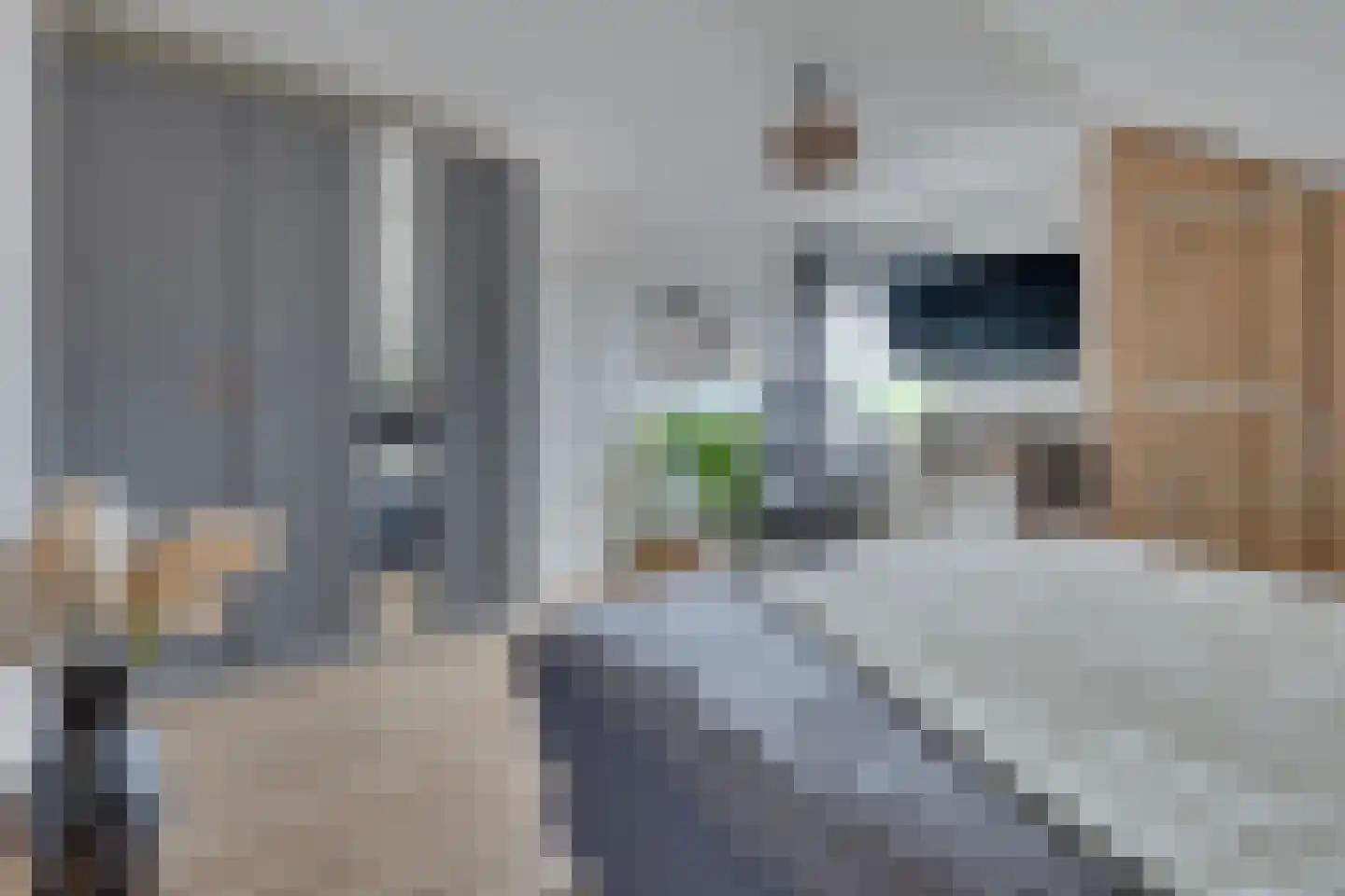 Keupenstraat 14 Dinxperlo thumbnail 32