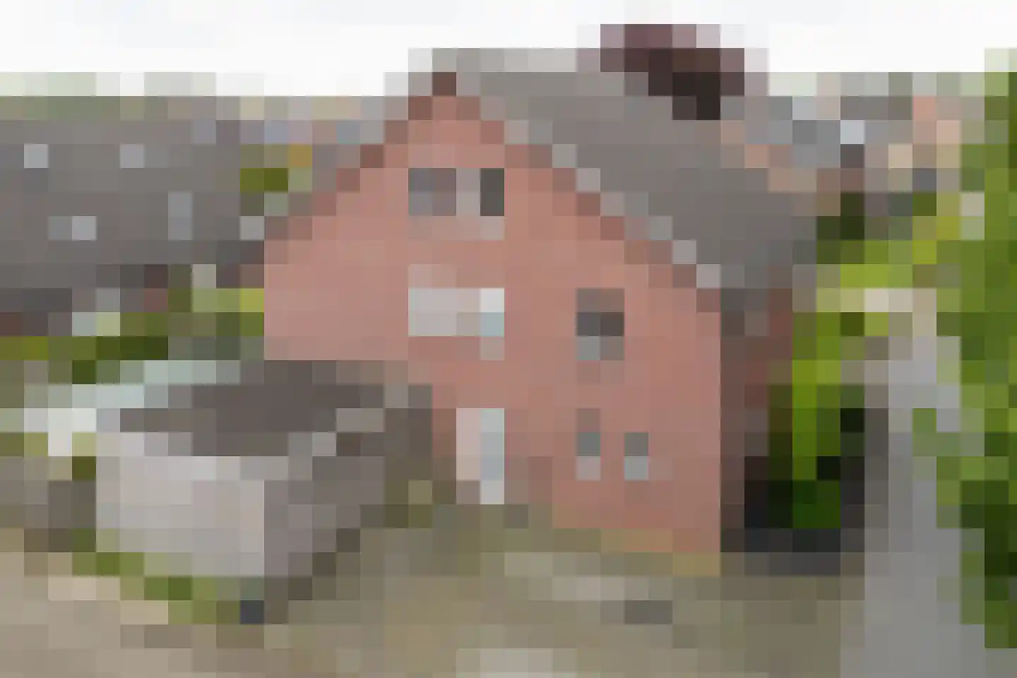 Keupenstraat 14 Dinxperlo thumbnail 4