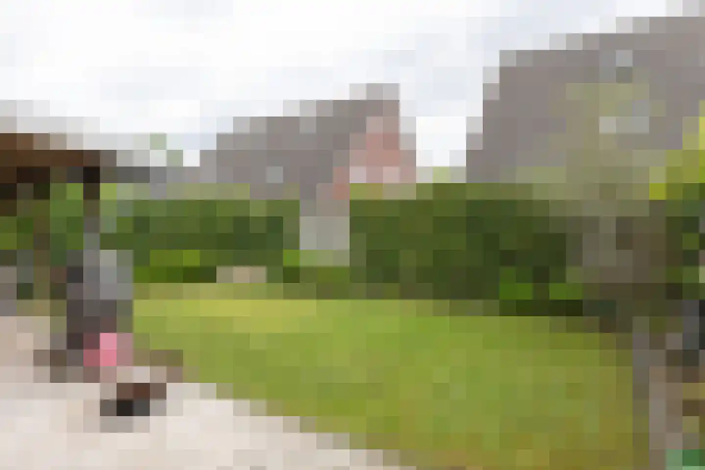 Keupenstraat 14 Dinxperlo thumbnail 40