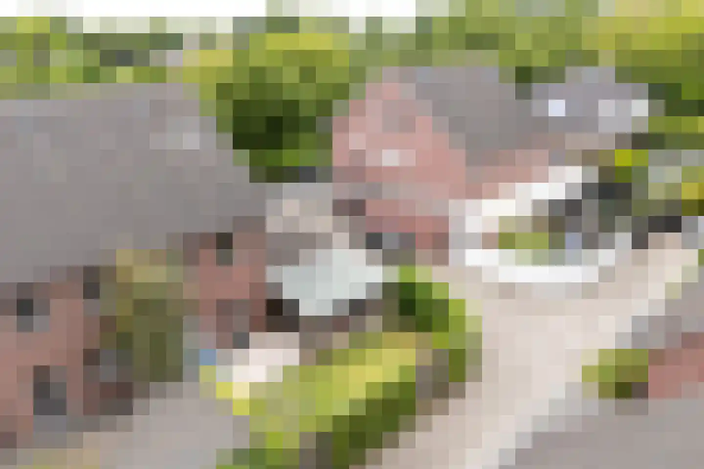 Keupenstraat 14 Dinxperlo thumbnail 41