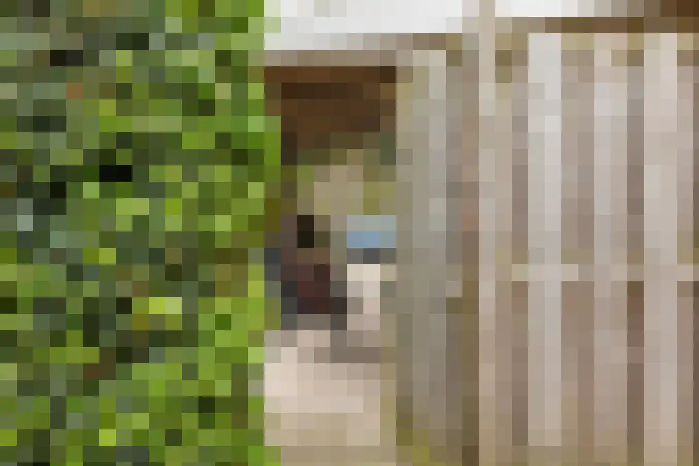 Keupenstraat 14 Dinxperlo thumbnail 42