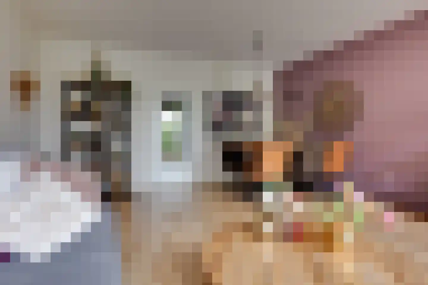 Keupenstraat 14 Dinxperlo thumbnail 9