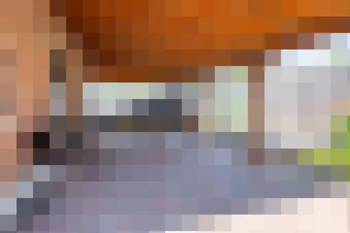 Keupenstraat 21 Dinxperlo thumbnail 44