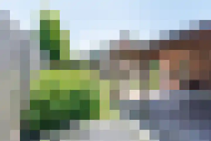 Keupenstraat 21 Dinxperlo thumbnail 45