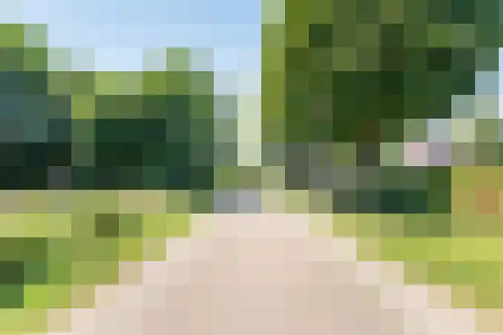 Keupenstraat 21 Dinxperlo thumbnail 52