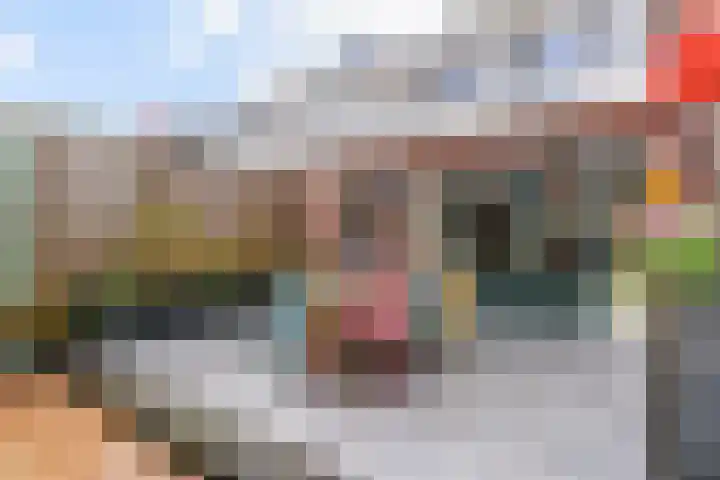 Keur 1 Kamerik thumbnail 31