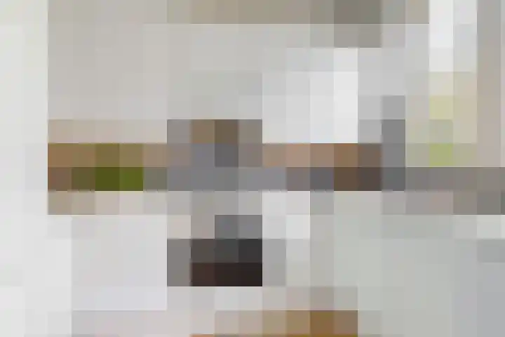Keur 11 Kamerik thumbnail 11