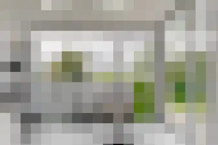 Keur 11 Kamerik thumbnail 18