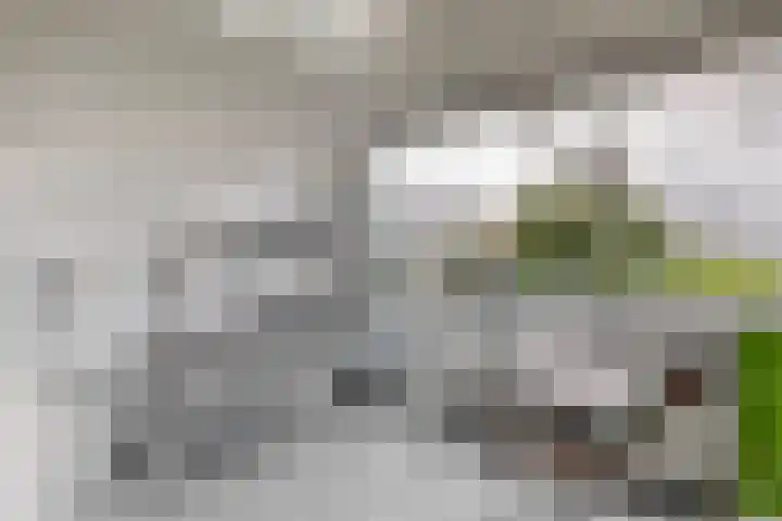 Keur 11 Kamerik thumbnail 19