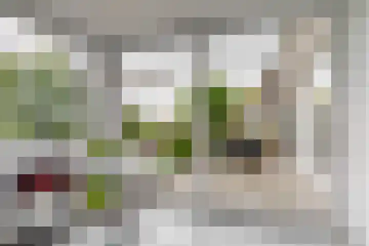Keur 11 Kamerik thumbnail 20