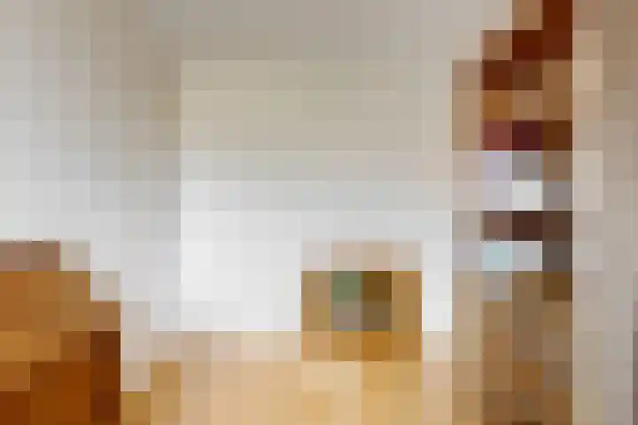 Keur 11 Kamerik thumbnail 27