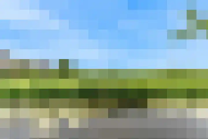 Keur 11 Kamerik foto 3