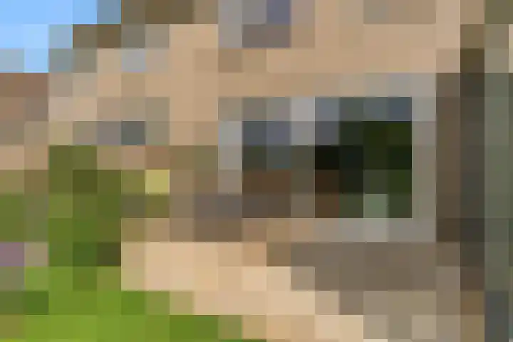 Keur 11 Kamerik thumbnail 38