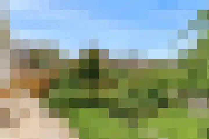 Keur 11 Kamerik thumbnail 40
