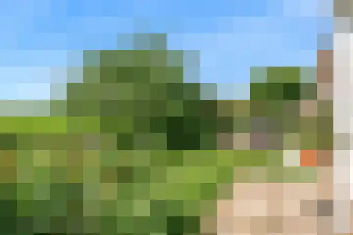 Keur 11 Kamerik thumbnail 41