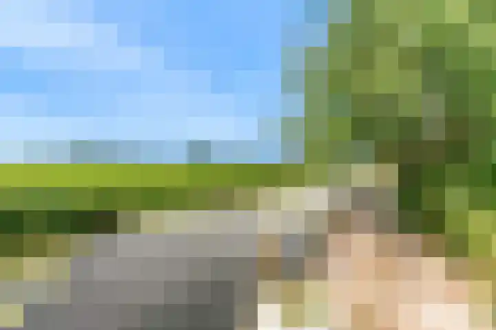 Keur 11 Kamerik thumbnail 42