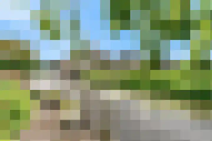 Keur 11 Kamerik thumbnail 43
