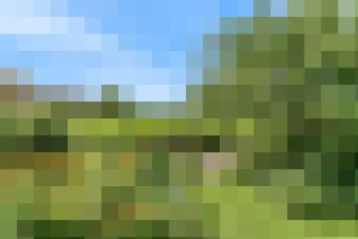 Keur 11 Kamerik thumbnail 44