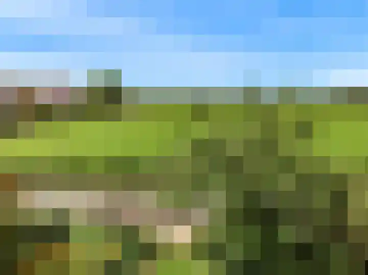 Keur 11 Kamerik thumbnail 45