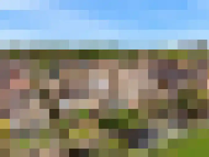 Keur 11 Kamerik thumbnail 48