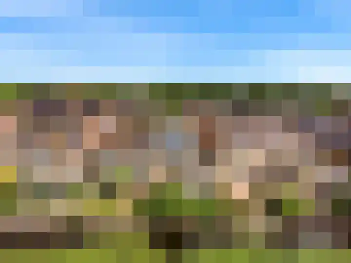 Keur 11 Kamerik thumbnail 49