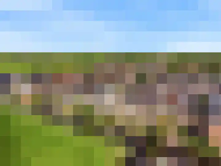 Keur 11 Kamerik thumbnail 50