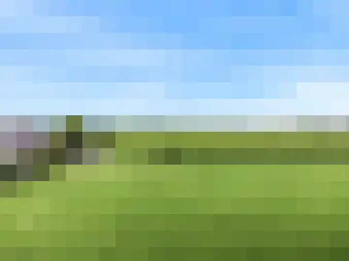 Keur 11 Kamerik thumbnail 52
