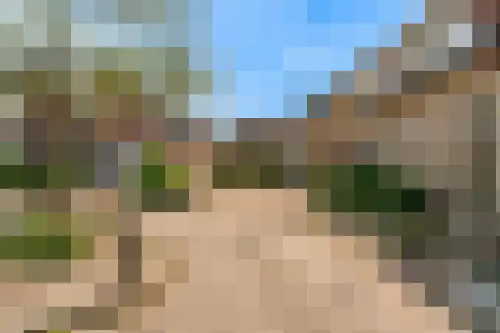 Keur 11 Kamerik thumbnail 53