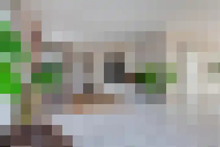 Keur 17 Kamerik thumbnail 14