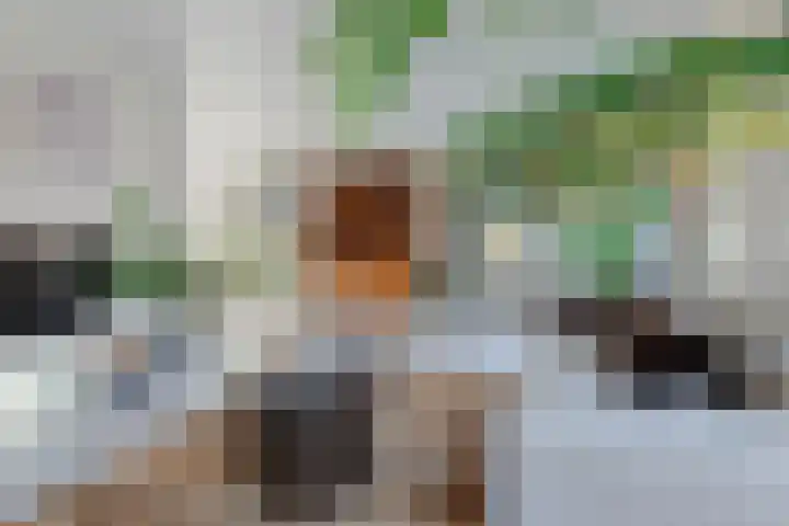 Keur 17 Kamerik thumbnail 19