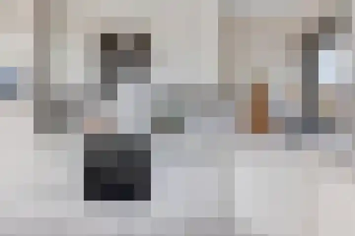 Keur 17 Kamerik thumbnail 23