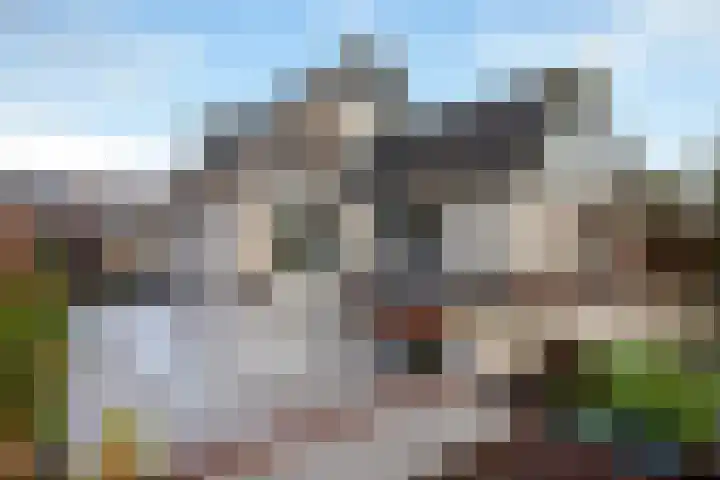 Keur 17 Kamerik thumbnail 49
