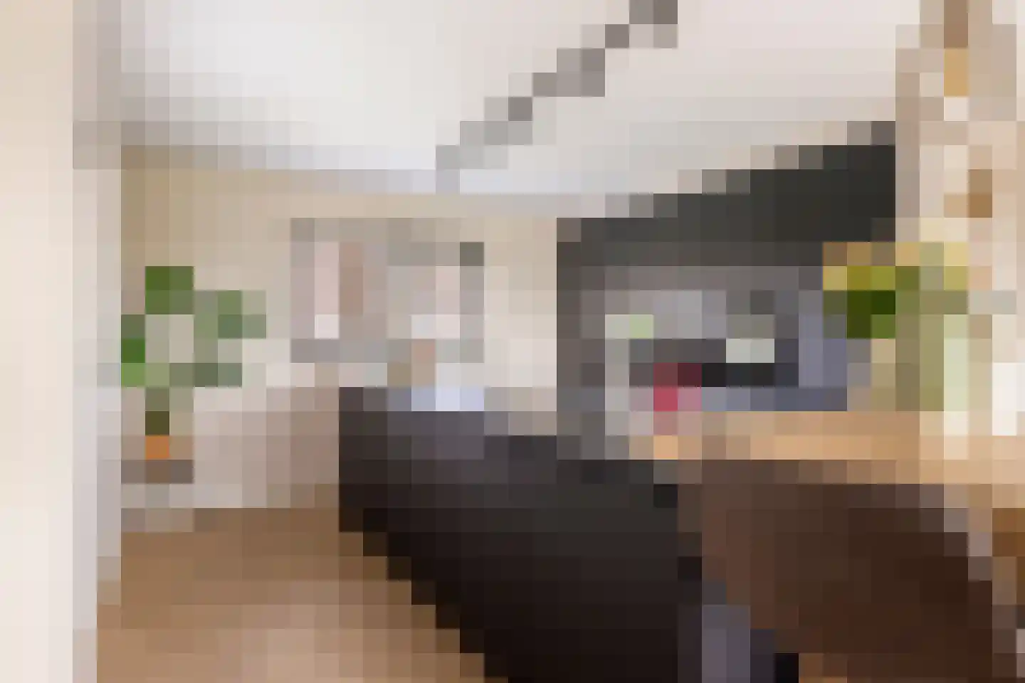 Keur 19 Kamerik thumbnail 15