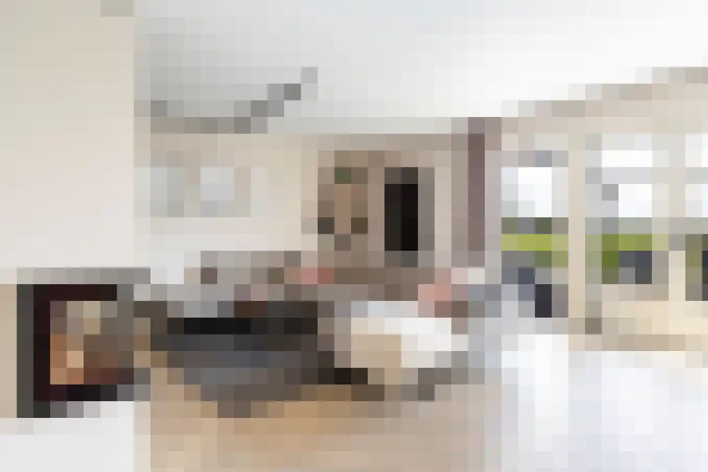 Keur 19 Kamerik thumbnail 22
