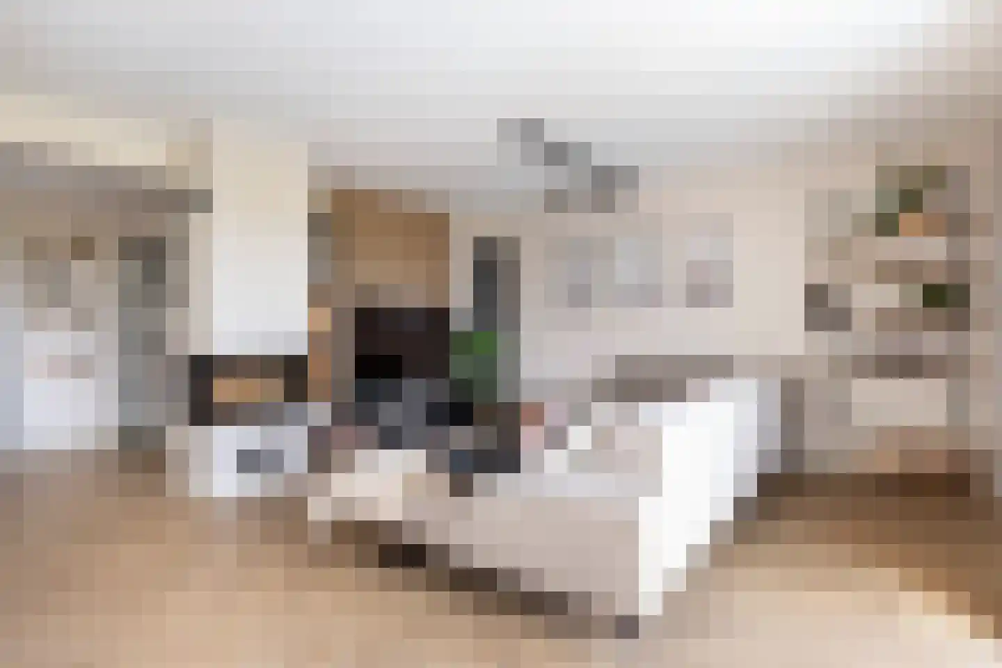 Keur 19 Kamerik thumbnail 23