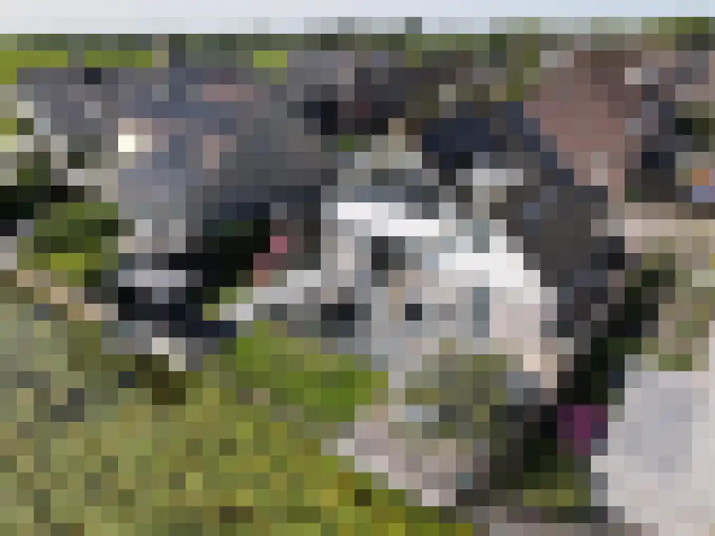 Keur 19 Kamerik thumbnail 63