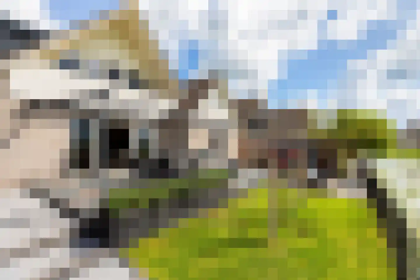 Keur 19 Kamerik thumbnail 64