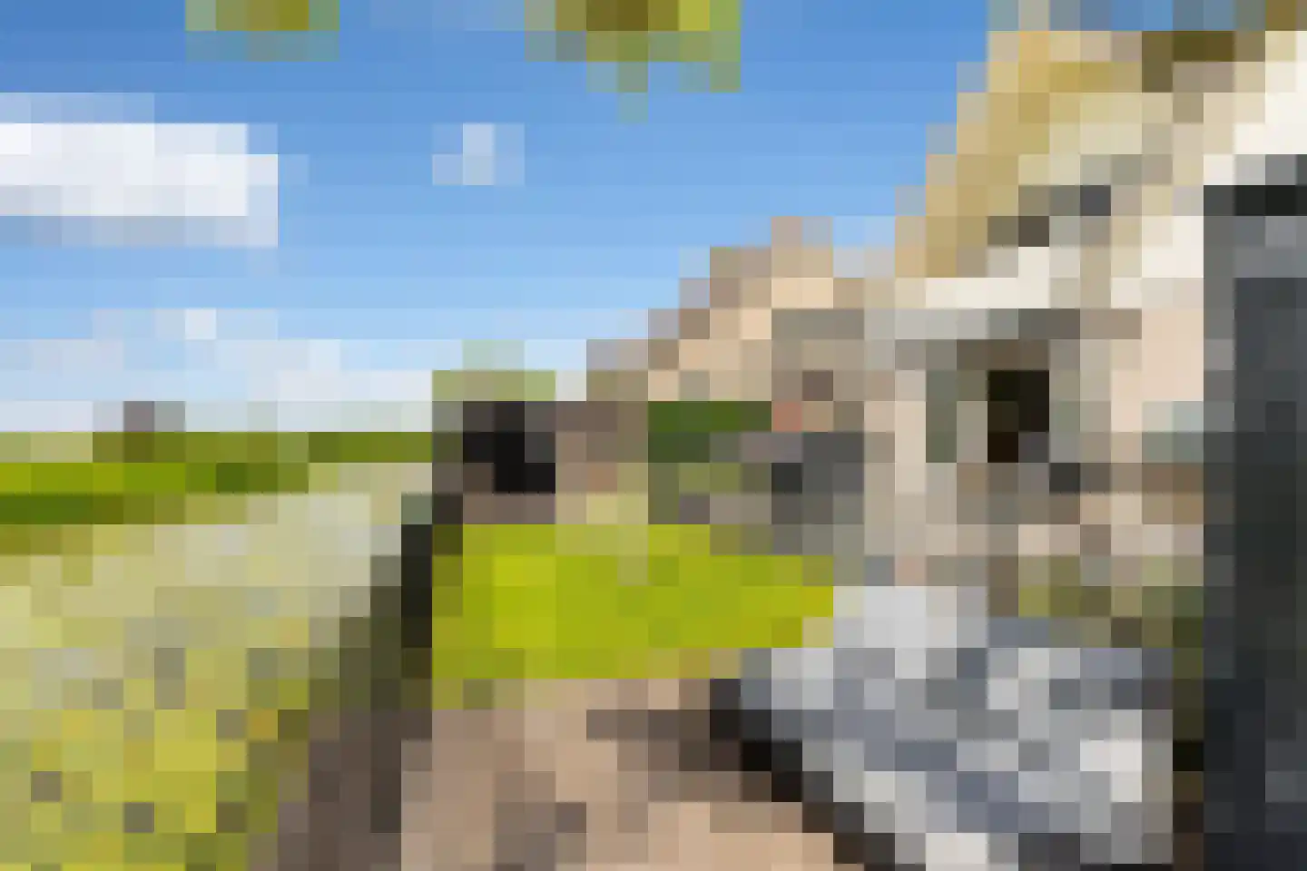 Keur 19 Kamerik thumbnail 65