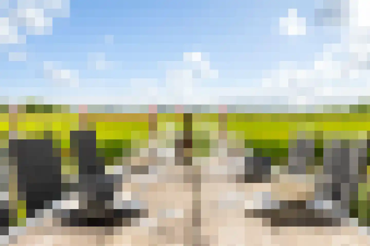Keur 19 Kamerik thumbnail 68