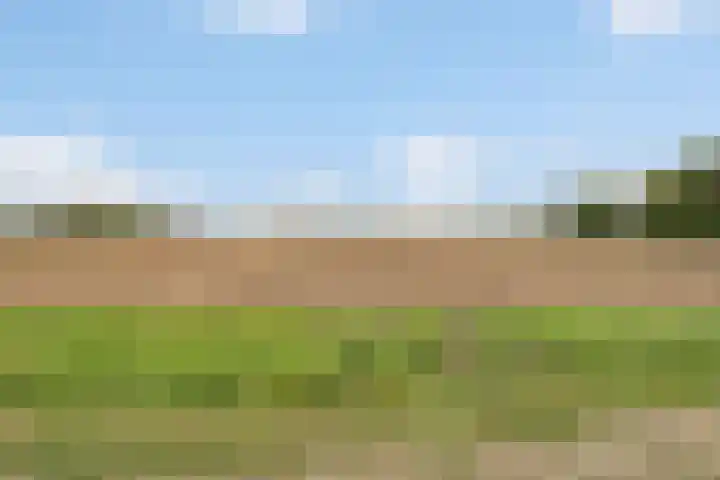 Keurbeek 3 D Herwen thumbnail 13