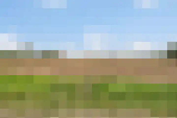 Keurbeek 3 D Herwen thumbnail 28