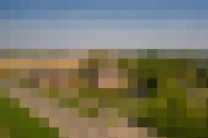 Keurbeek 3 D Herwen thumbnail 29