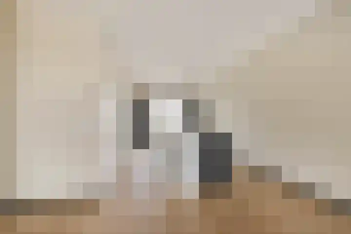 Keurbeek 3 D Herwen thumbnail 8